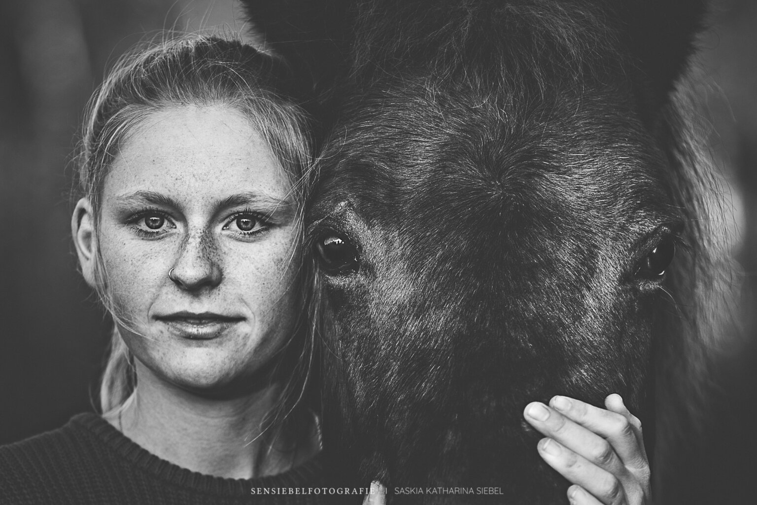 Pferdefotografie Tierfotografie Sensiebelfotografie Costa Blanca Allgäu